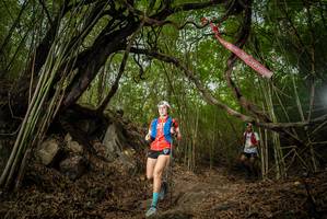 BIB: 
                            <button type="button" onclick="openModal(22178709)" class="btn btn-primary btn-sm float-right btn-popup" data-toggle="modal" data-target=".modal-high-quality">
                        <i class="fas fa-shopping-cart"></i> Add to Cart
                    </button>
                                            <button type="button" onclick="isThisMe(22178709, true)" class="btn btn-success btn-sm float-right btn-popup btn-isme hidden" data-toggle="tooltip" data-placement="bottom" title="นี่คือรูปของคุณใช่ไหม คลิกที่นี่เพื่อเอาเข้าอัลบั้ม">
                        <i class="fas fa-plus"></i> Add to album
                    </button>
                    <button type="button" onclick="isThisMe(22178709, false)" class="btn btn-warning btn-sm float-right btn-popup btn-isnotme hidden">
                        <i class="fas fa-ban"></i> Remove from album
                    </button>